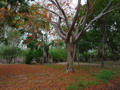 Free Spirit Caravanpark Darwin